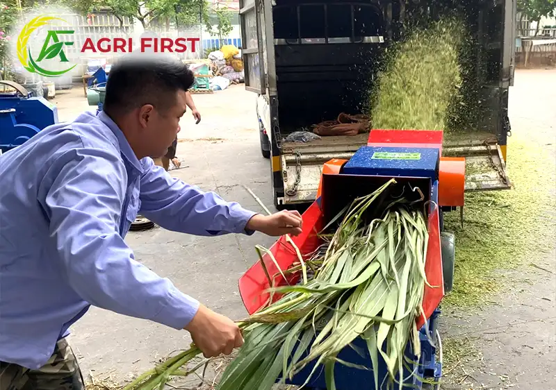 may-bam-co-co-bang-tai_result222