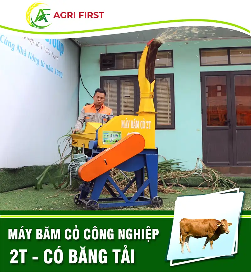 may-bam-co-cong-nghiep-2t_result222