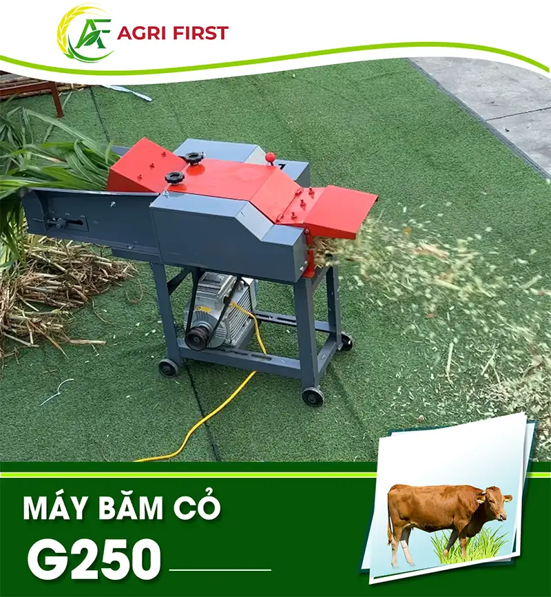 may-bam-co-g250-agrifirst_result222