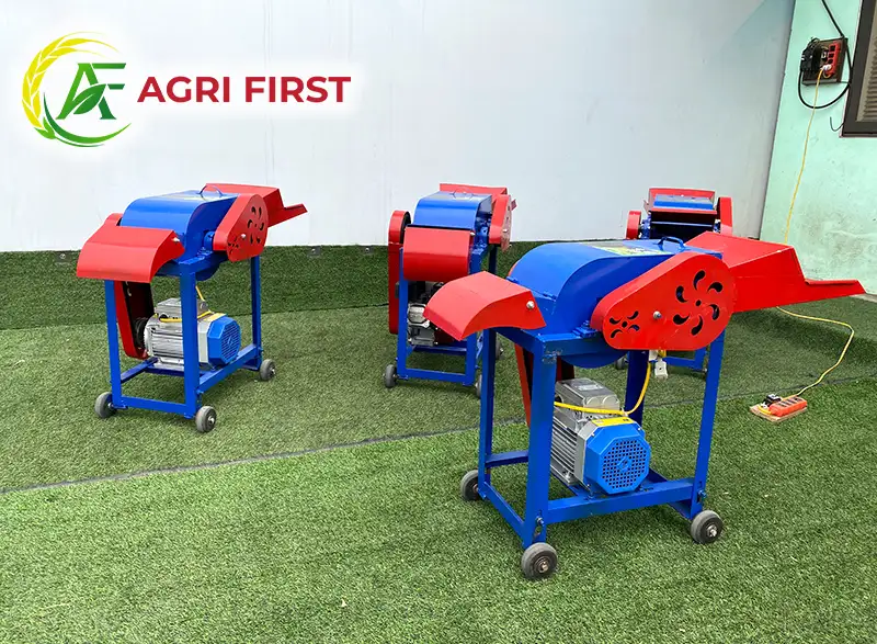 may-bam-co-lap-dau-no_result222