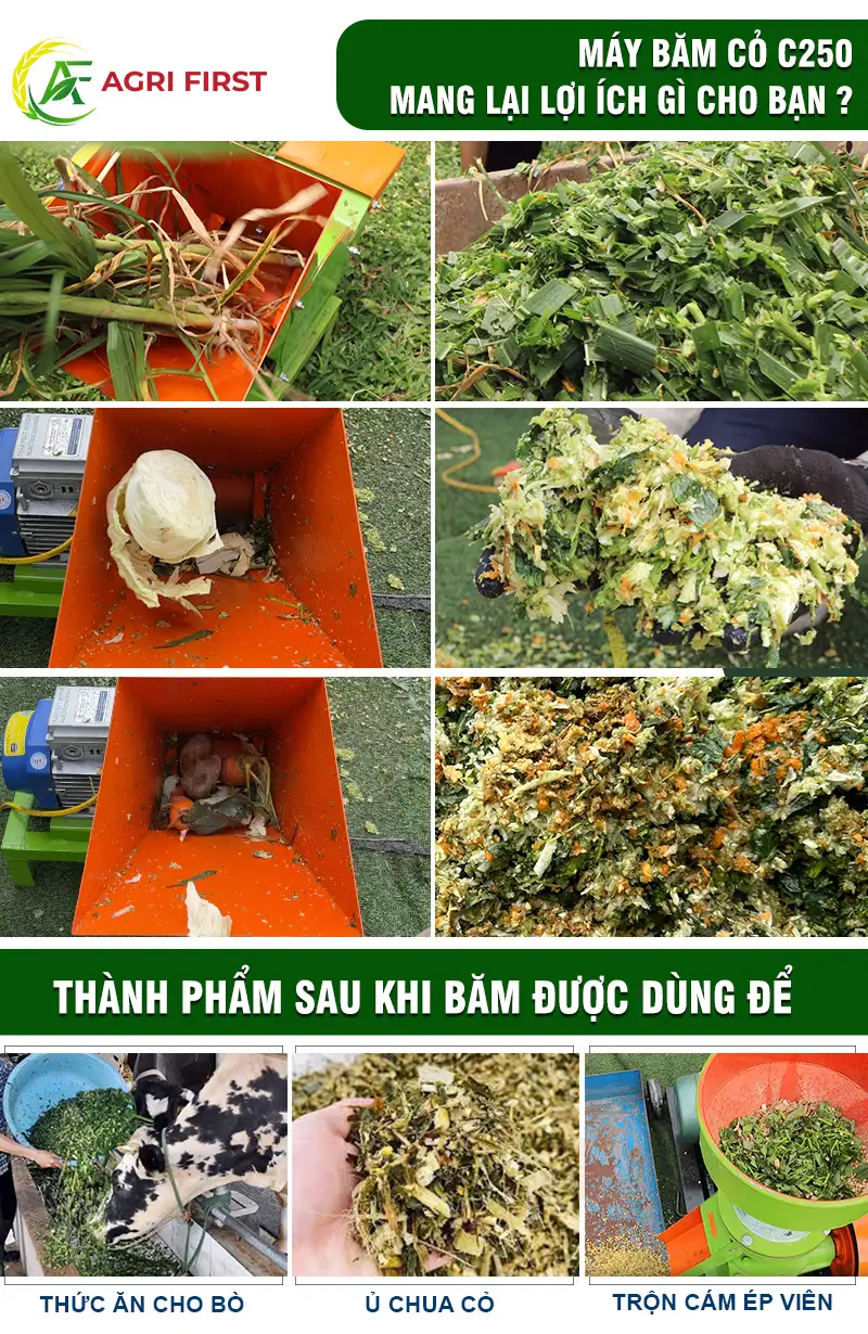 may-bam-rau-cu-qua copy_result222