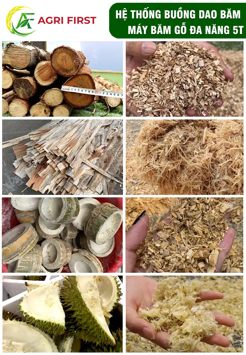 may-bam-tre copy_result222