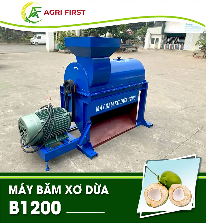 may-bam-xo-dua-b1200_result222