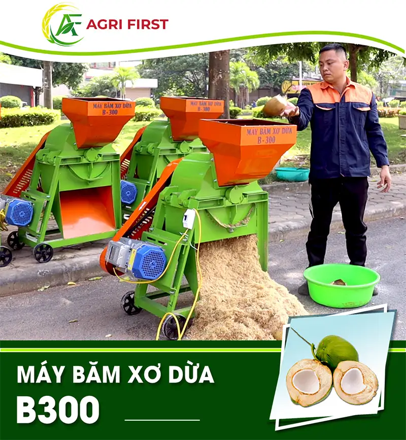 may-bam-xo-dua-b300-dien-may-agrifirst_result222