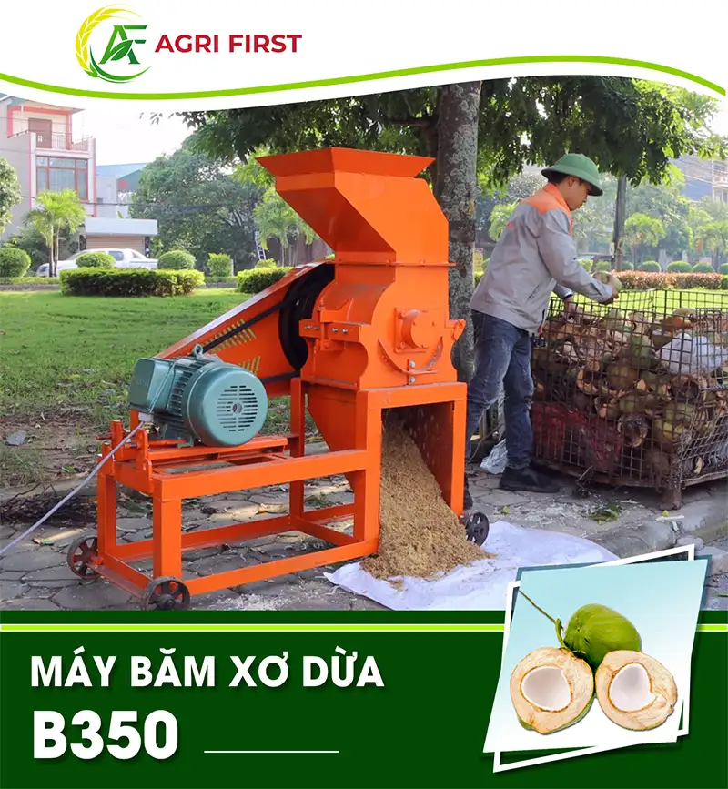 may-bam-xo-dua-b350_result222