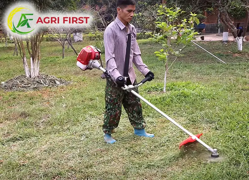 may-cat-co-deo-vai_result222