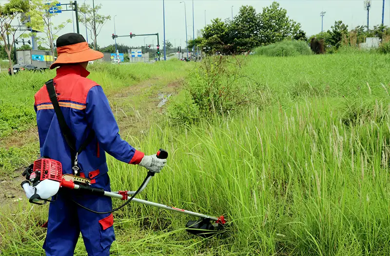 may-cat-co-voi_result222