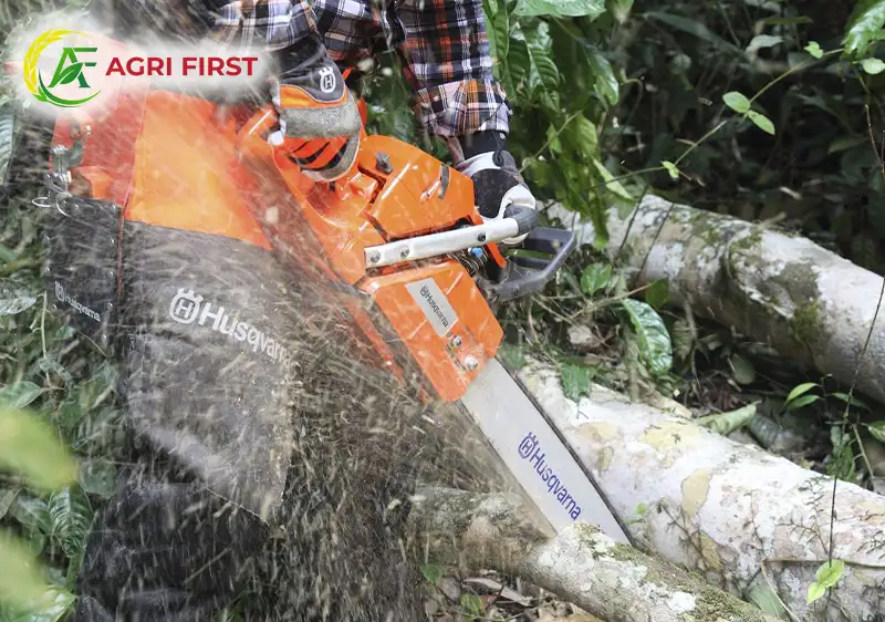 may-cua-cay_result222