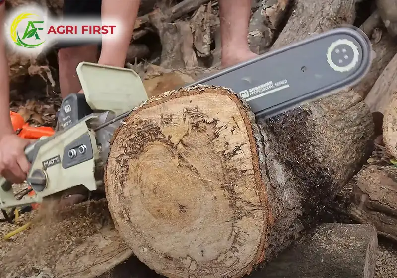 may-cua-xich-dien_result222