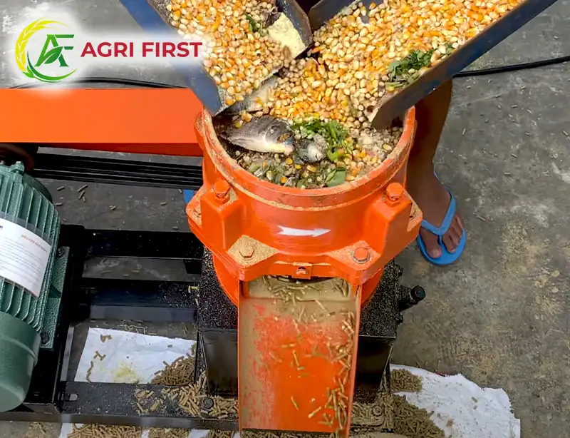 may-ep-cam-3-pha_result222