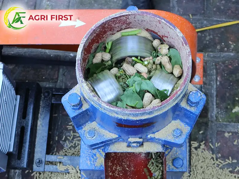 may-ep-cam-vien-cho-ga_result222