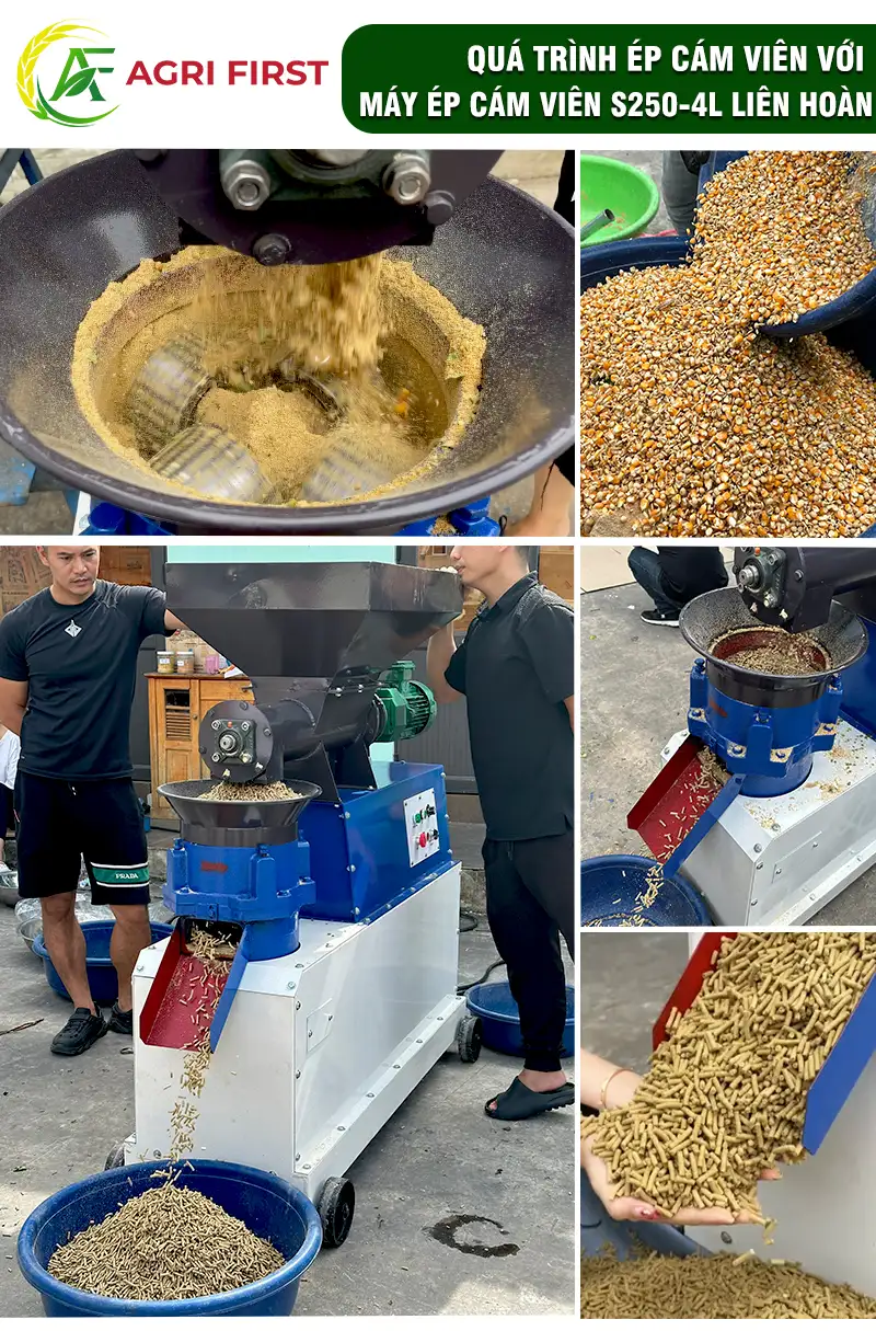 may-ep-cam-vien-cong-suat-lon_result222