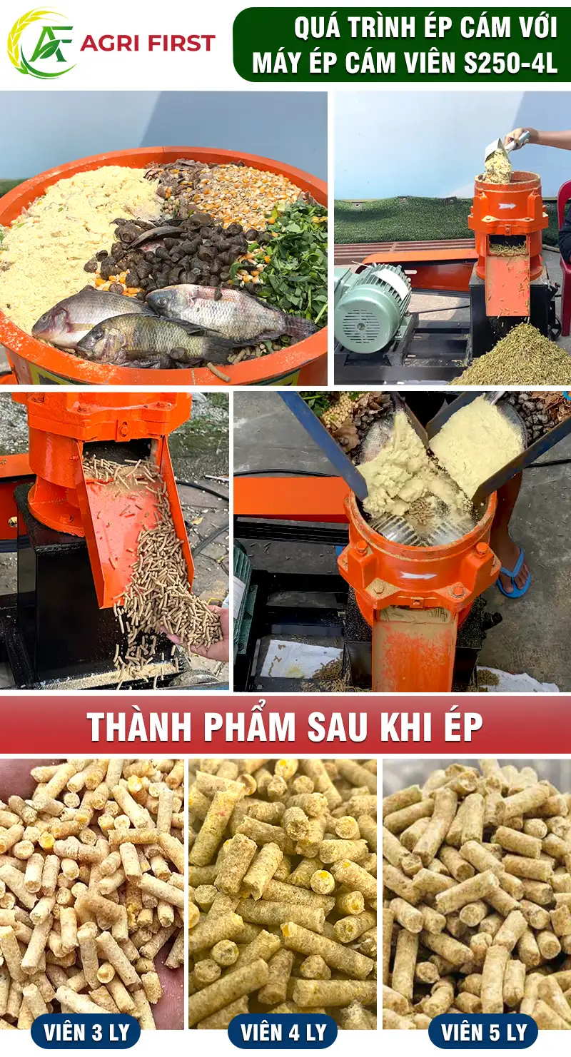 may-lam-cam-vien-cho-ga_result222