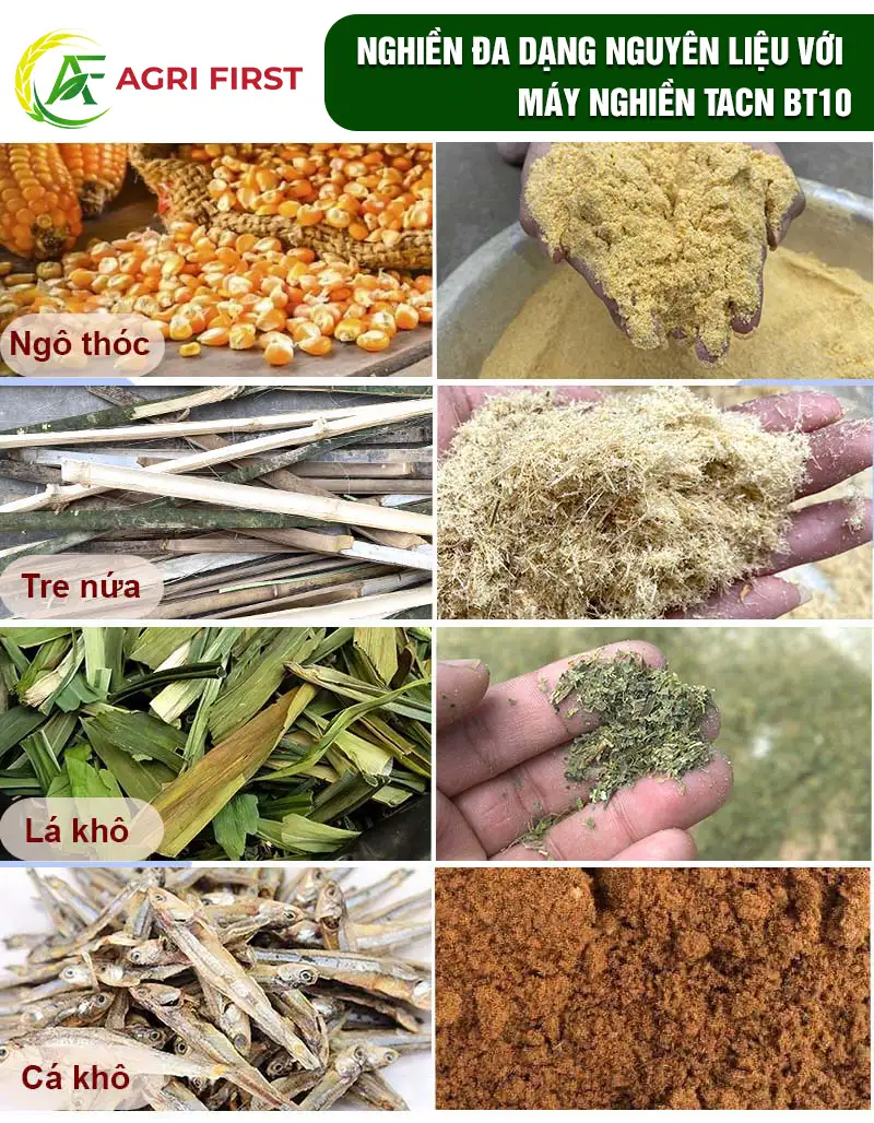 may-nghien-ca copy_result222