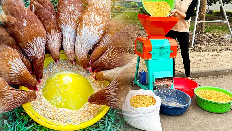 may-nghien-ngo-cho-ga_result222