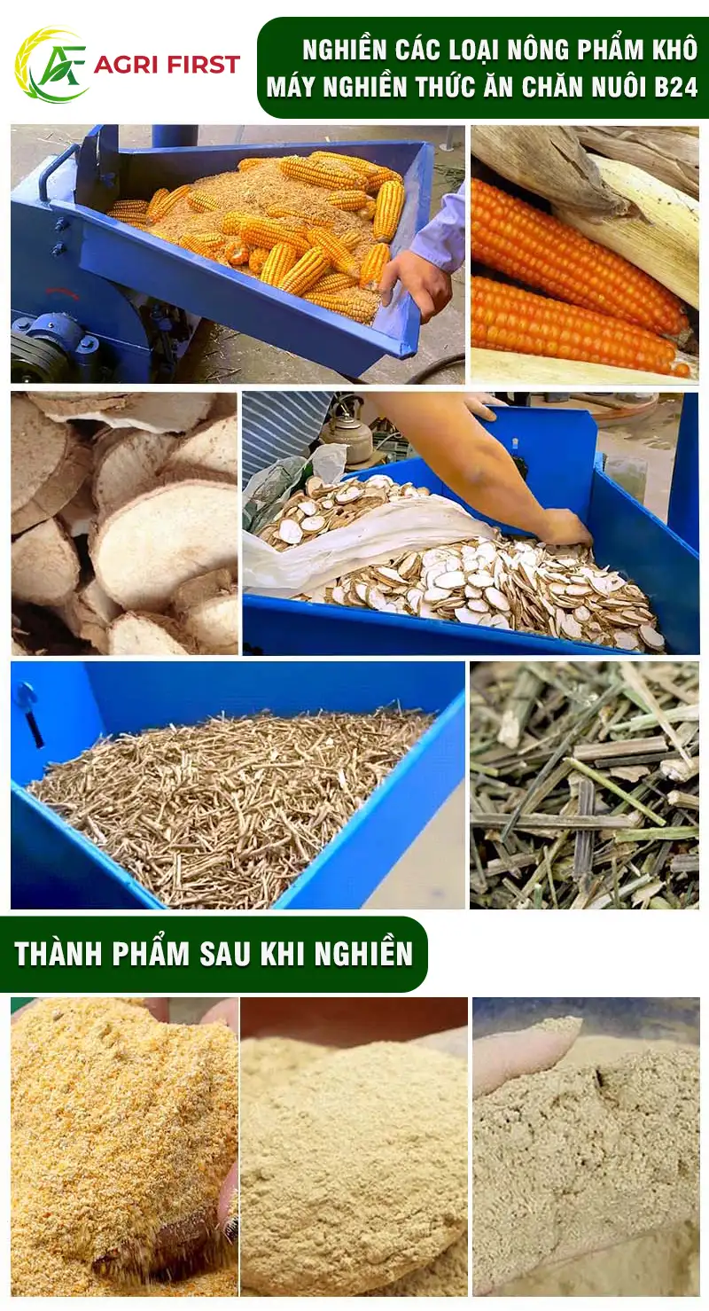 may-nghien-ngo-hat copy 2_result222