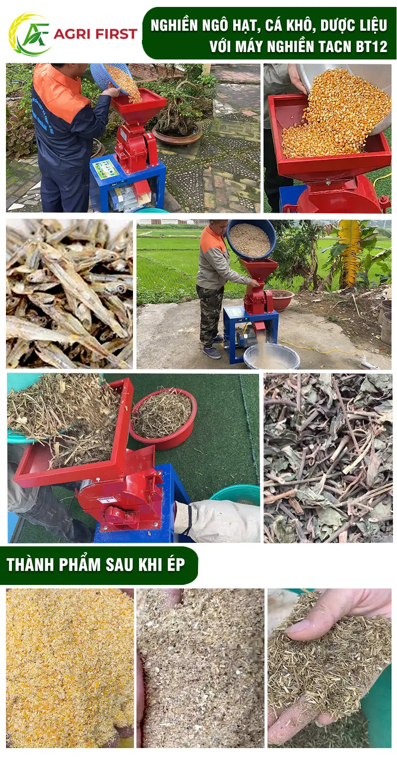 may-nghien-ngo-hat_result222