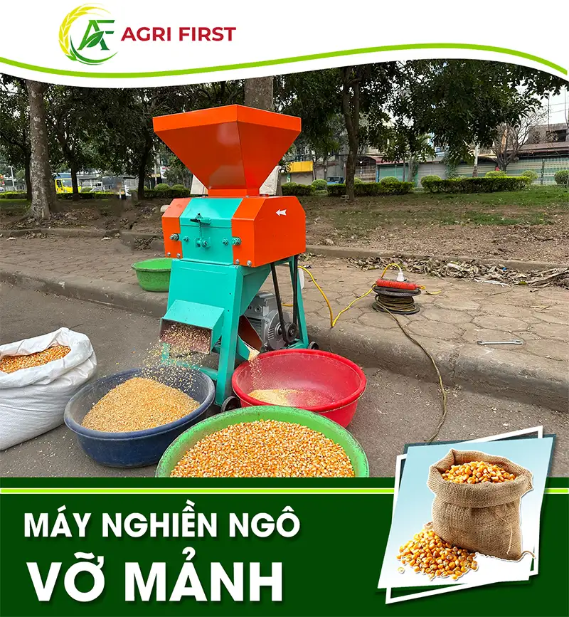 may-nghien-ngo-vo-manh_result222