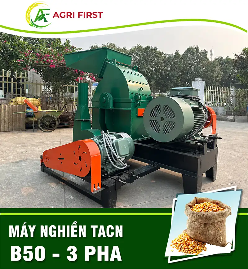 may-nghien-thuc-an-chan-nuoi-b50_result222