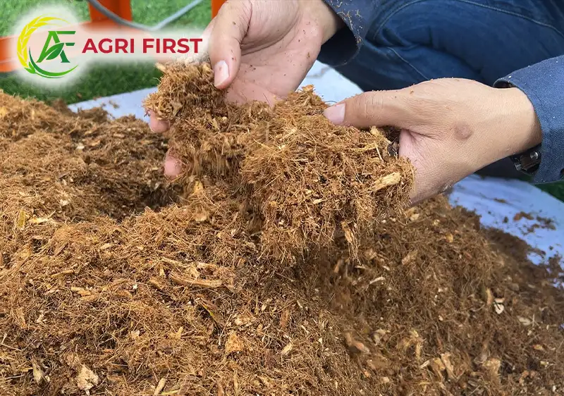 mun-dua-kho_result222