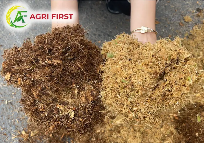 mun-xo-dua_result222