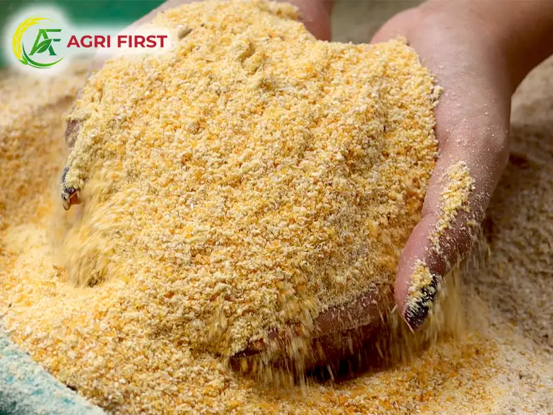 nghien-bot-cam-ngo_result222