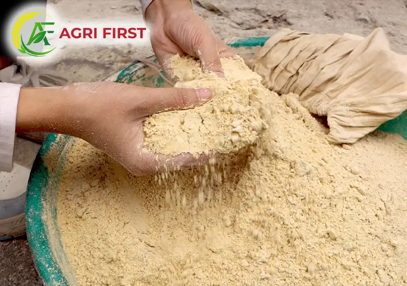 nghien-bot-cam_result222