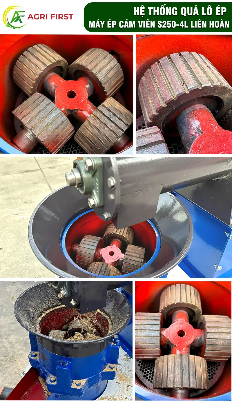 qua-lo-ep-cam-vien copy_result222