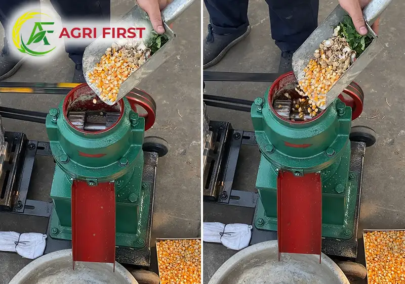 qua-trinh-ep-cam-vien_result222