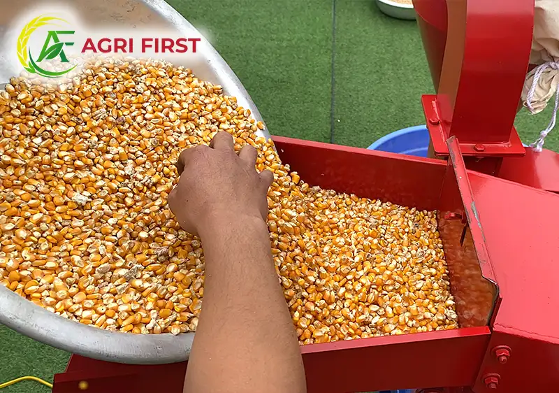 toa-nap-nguyen-lieu-b24_result222