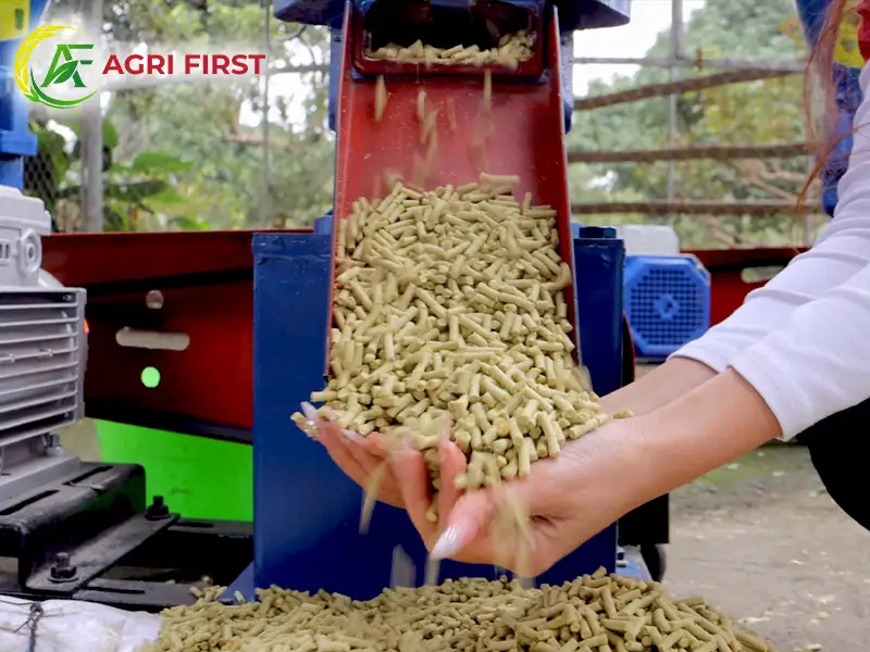 vien-cam-cho-ga_result222