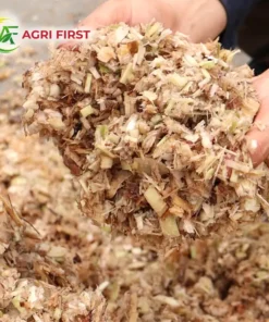 bam-chuoi-cho-lon_result222