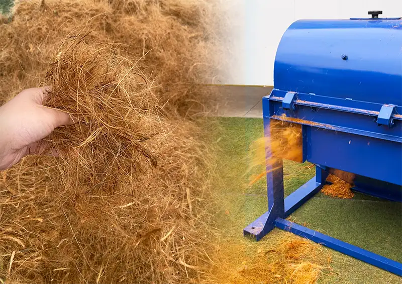 cua-xa-xo-dua_result222