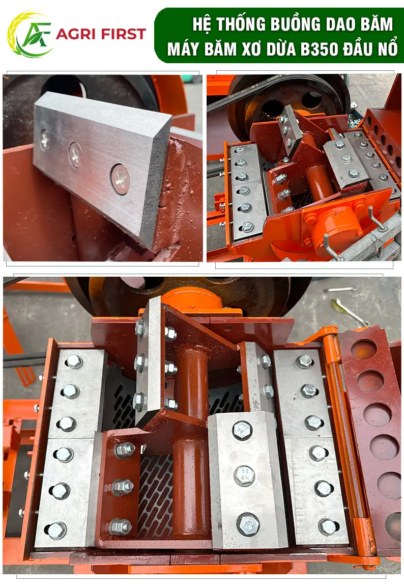 dao-bam-dua_result222