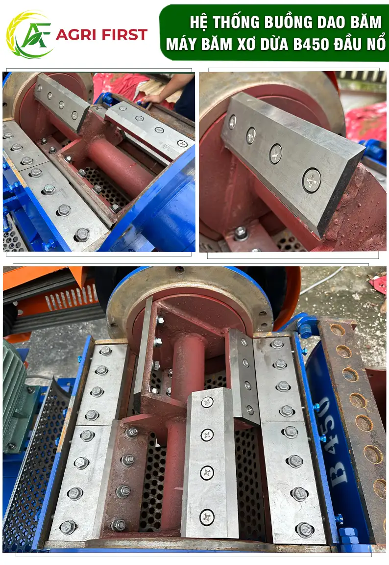 dao-bam-vo-dua_result222