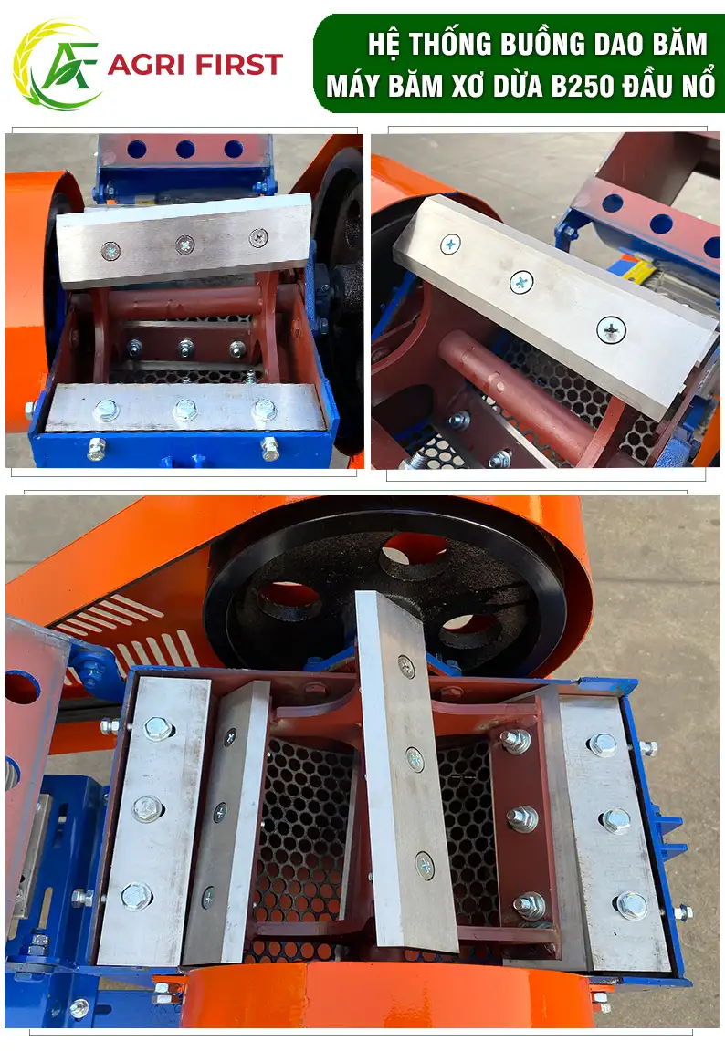 dao-bam-xo-dua_result222