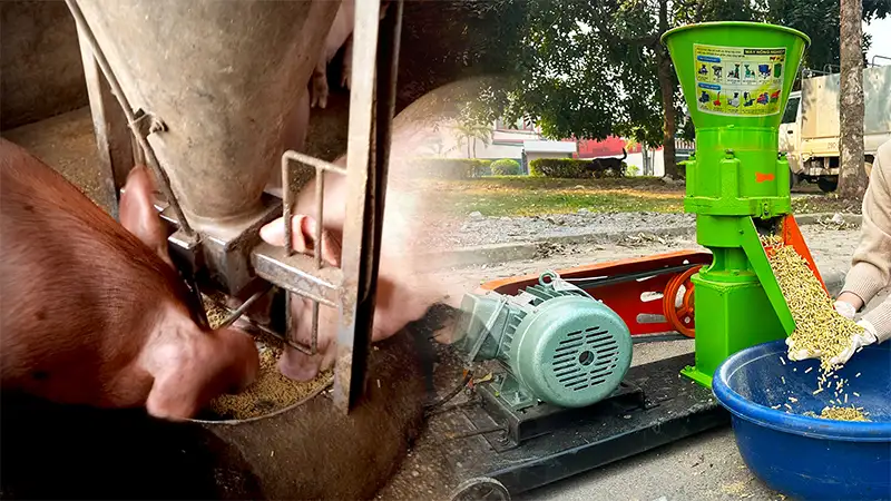 ep-cam-vien-cho-lon_result222