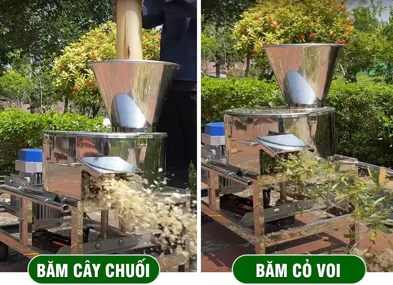 may-bam-chuoi-co-voi_result222