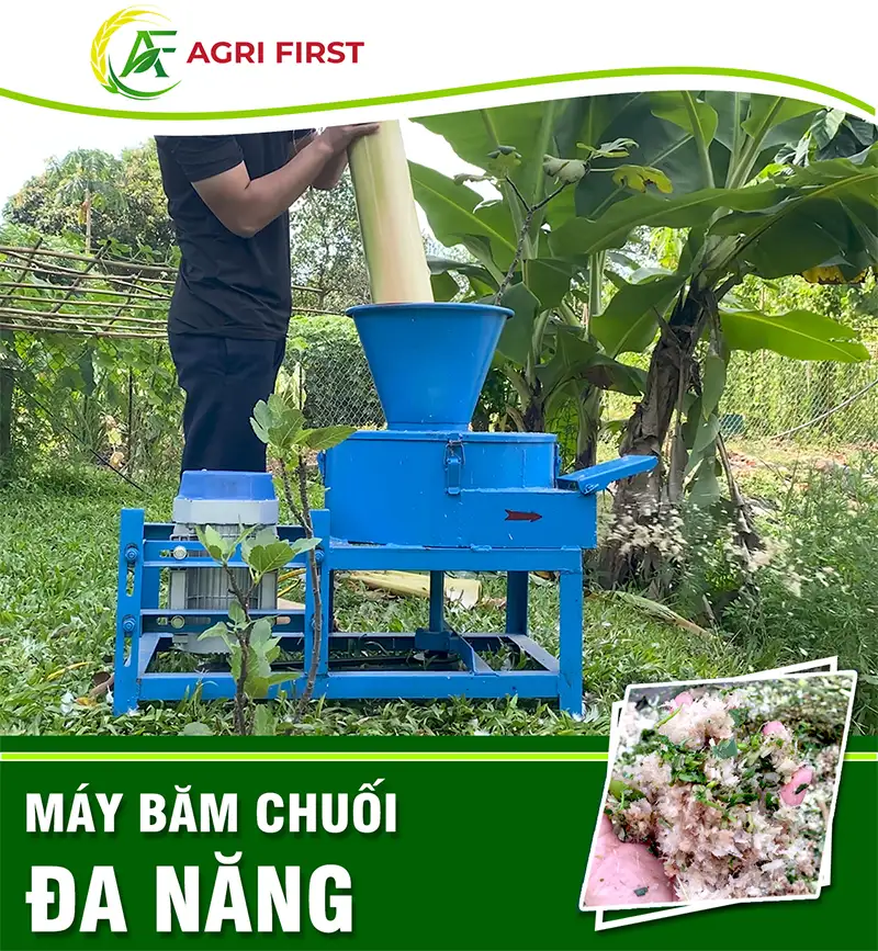 may-bam-chuoi-da-nang-agrifirst_result222