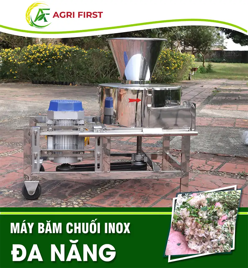 may-bam-chuoi-da-nang_result222