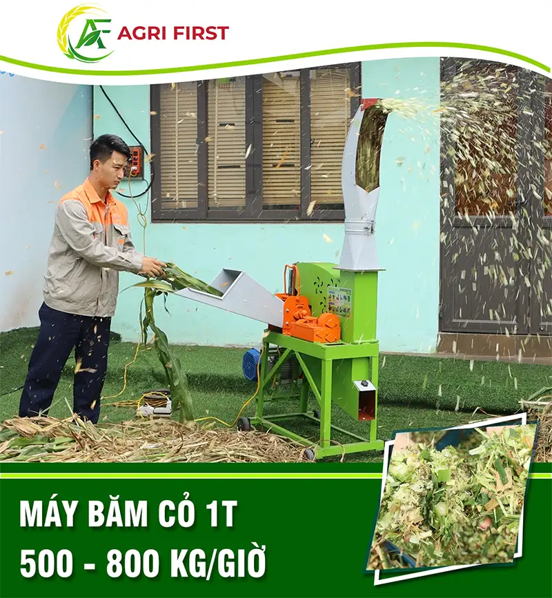 may-bam-co-1t_result222