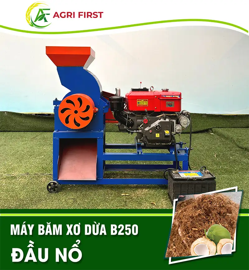 may-bam-xo-dua-b250-lap-dau-no-agrifirst_result222