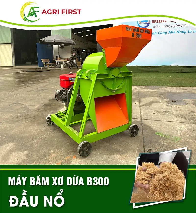 may-bam-xo-dua-b300-dau-no-d10_result222