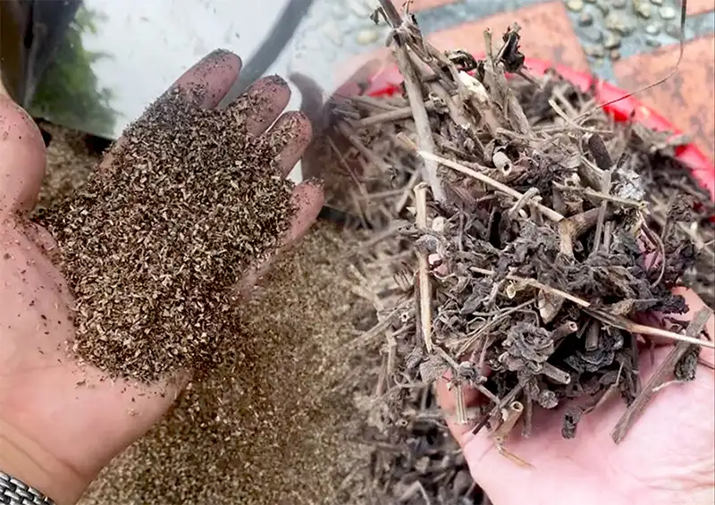 may-nghien-tra-tui-loc_result222