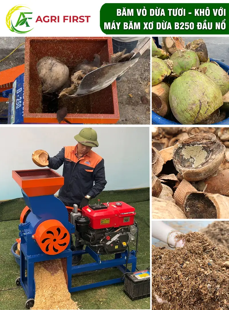 may-xay-vo-dua copy_result222