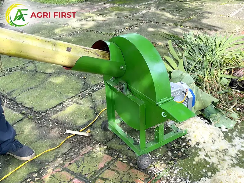 may-bam-cay-chuoi_result222