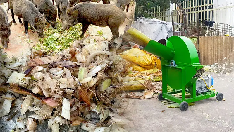 may-bam-chuoi-cho-lon_result222